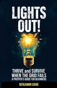 Lights Out FNL Paperback Cover LoRez