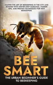 ebook cover