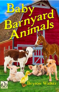 BBA Cover