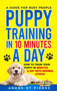 ebook cover